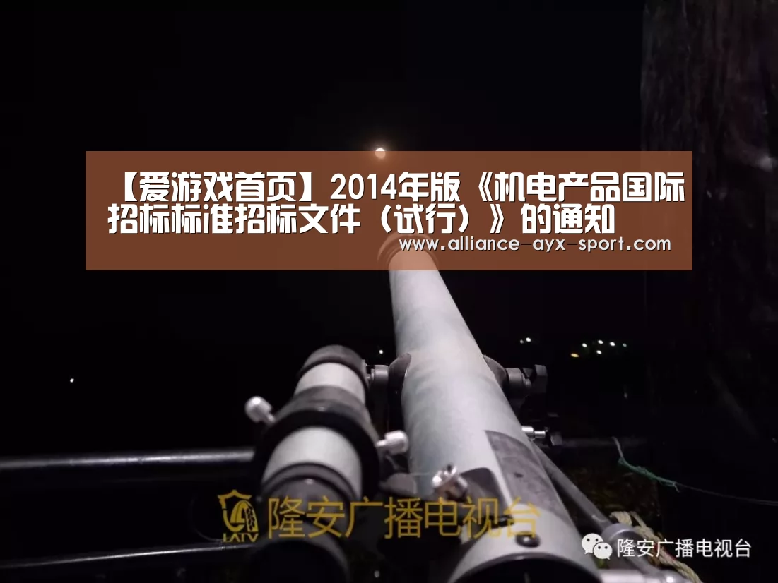 爱游戏