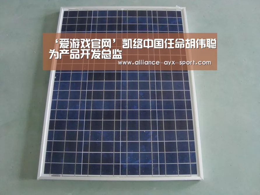 ‘爱游戏官网’凯络中国任命胡伟聪为产品开发总监(图2) 爱游戏体育