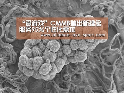 “爱游戏”CMMB抛出新理念 服务95%个性化需求(图1) 爱游戏