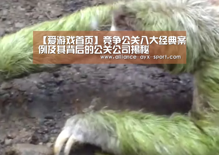 爱游戏
